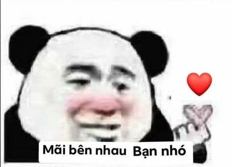 Đồng hành cùng bộ sưu tập meme gấu trúc Weibo hài bá đạo