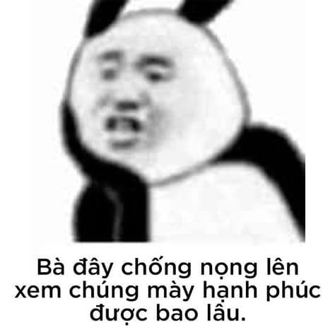 Đồng hành cùng bộ sưu tập meme gấu trúc Weibo hài bá đạo