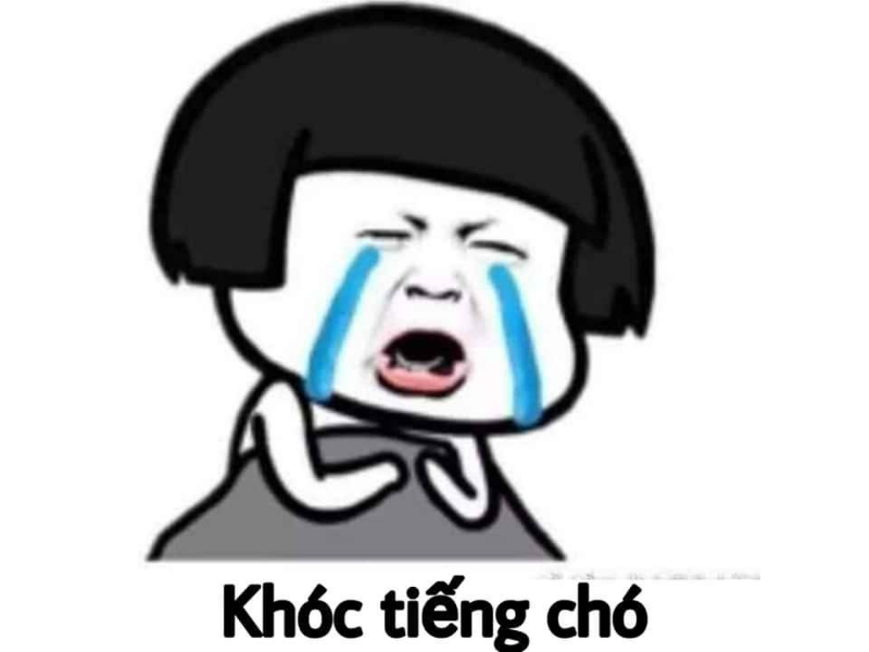 Lưu ngay top meme khóc hài hước không hề giả trân