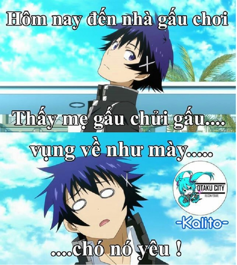 101+ Anime meme cực hài hước, độc đáo mới nhất - Coolmate - Coolmate