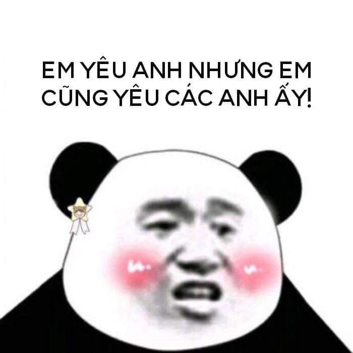 100+ hình gấu trúc meme hài, bựa hot nhất, lưu ngay về máy