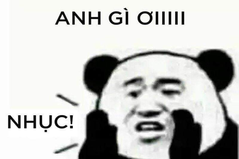 Meme gấu Trung Quốc và hải ly ấn tượng siêu hài hước