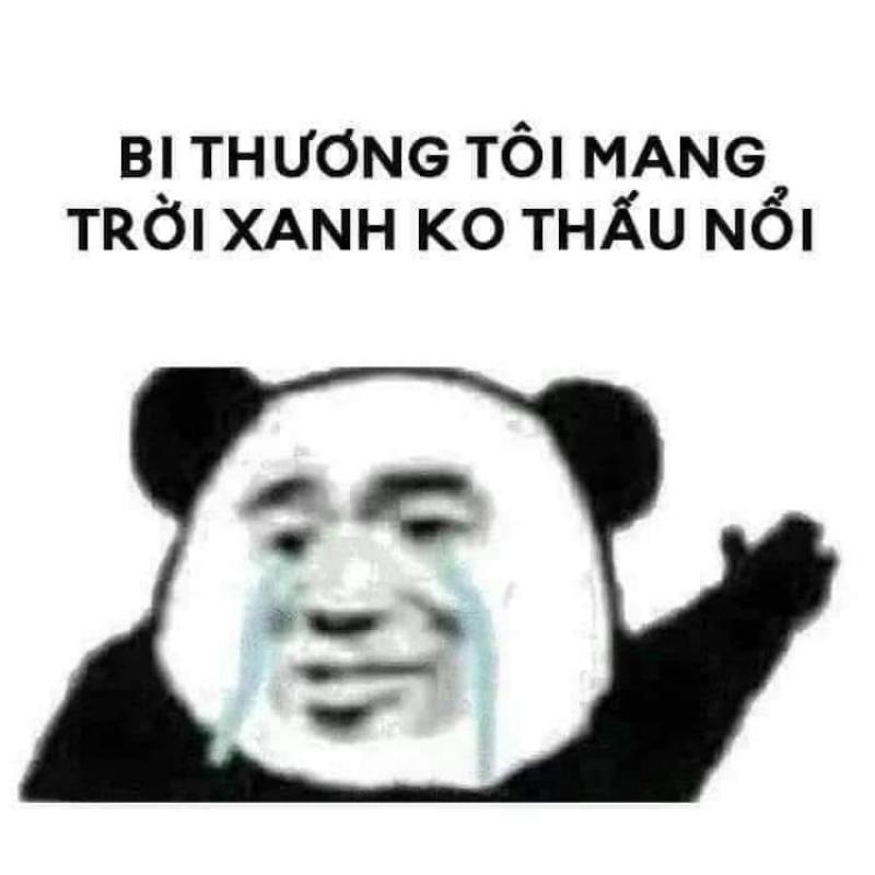 Meme gấu Trung Quốc và hải ly ấn tượng siêu hài hước