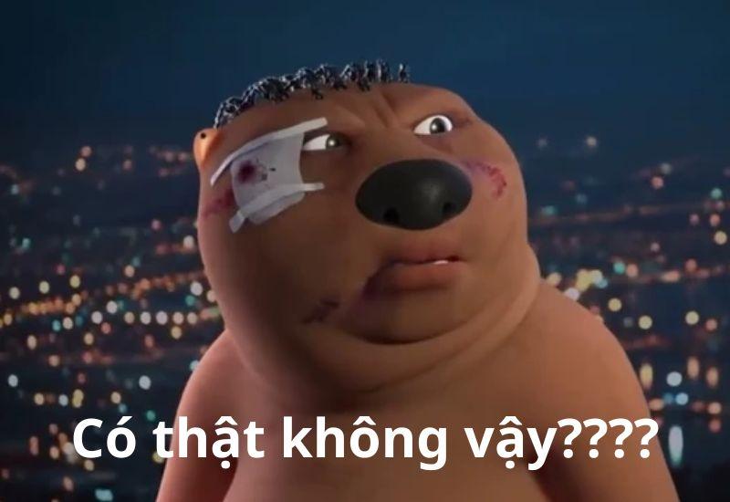 Meme gấu Trung Quốc và hải ly ấn tượng siêu hài hước