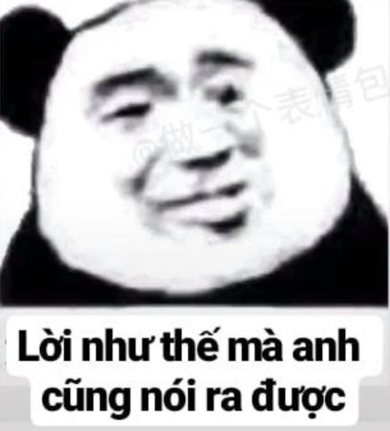 Meme gấu Trung Quốc và hải ly ấn tượng siêu hài hước