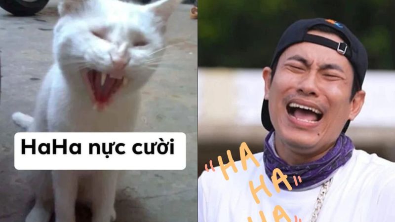 100+ ảnh meme hài hước, hài bựa vui nhộn mới nhất