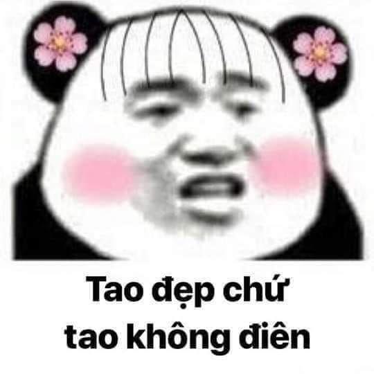 100+ hình gấu trúc meme hài, bựa hot nhất, lưu ngay về máy