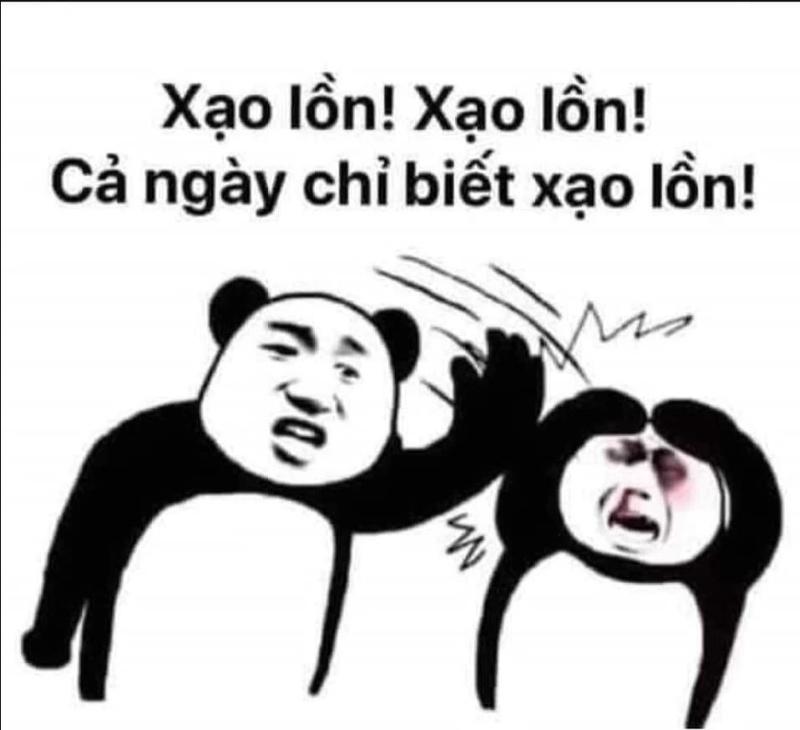 Meme gấu Trung Quốc và hải ly ấn tượng siêu hài hước