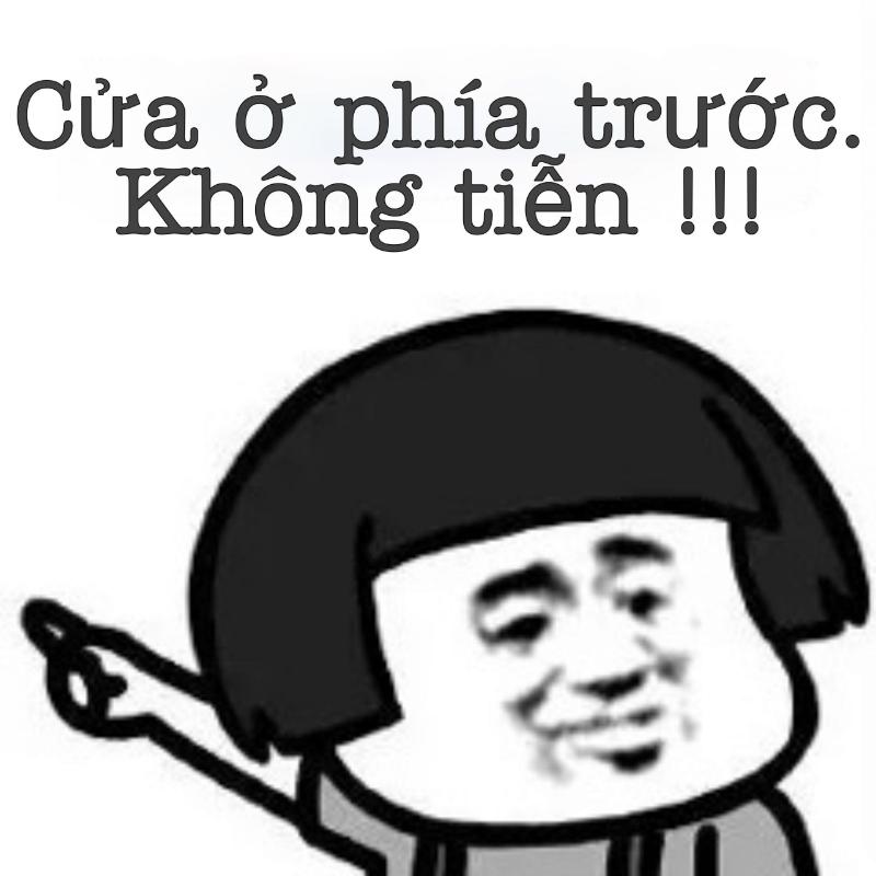 Meme gấu Trung Quốc và hải ly ấn tượng siêu hài hước