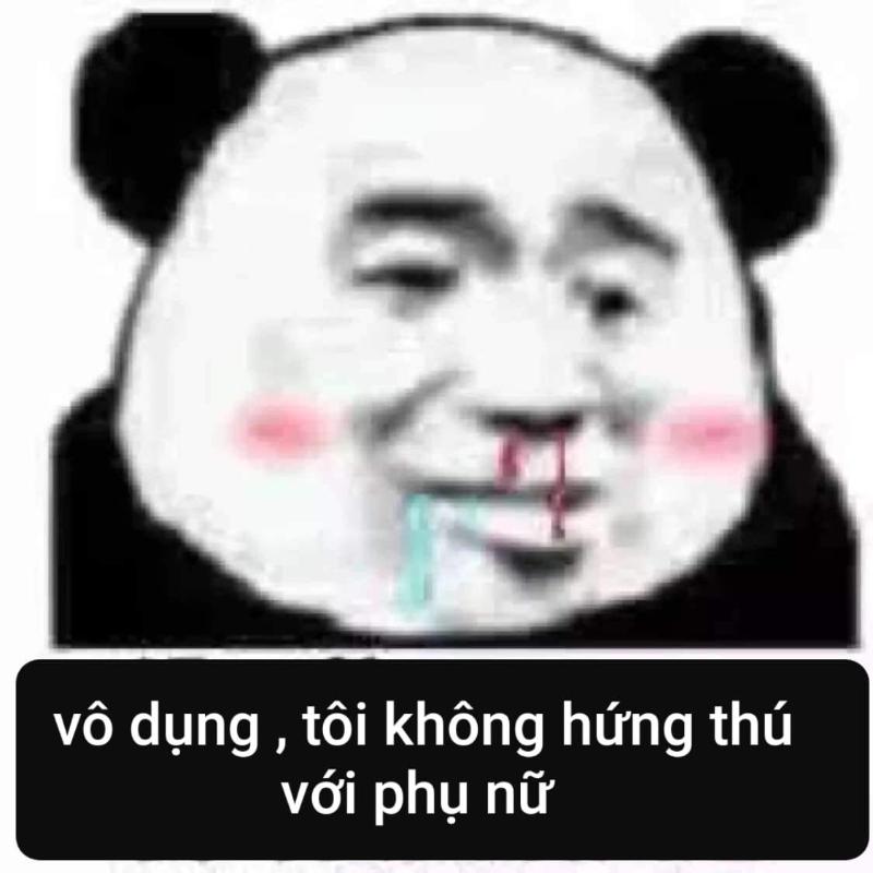 Meme gấu Trung Quốc và hải ly ấn tượng siêu hài hước