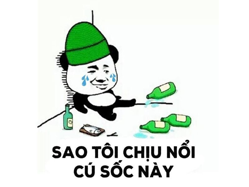 Tổng hợp 99+ meme thất tình nên lưu ngay về máy khi cần - Coolmate