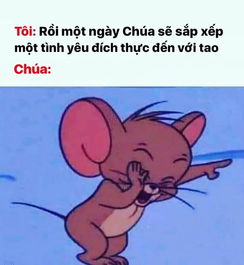 Tổng hợp bộ Tom and Jerry meme cực hài hước dễ thương