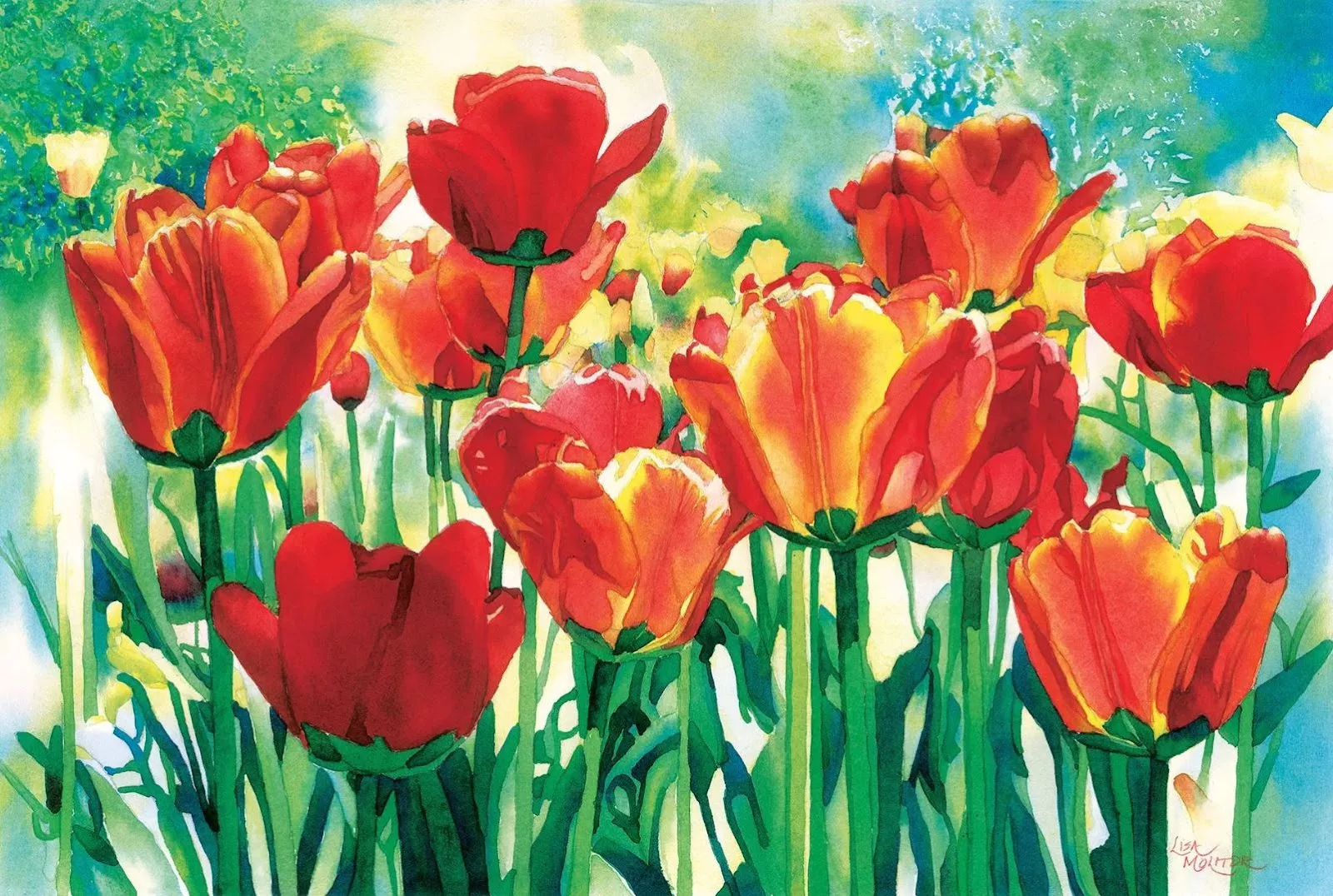 Hướng dẫn vẽ hoa tulip và mẫu tranh hoa tulip đẹp