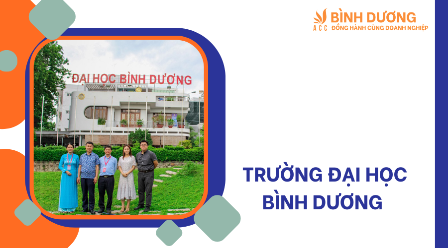 Bình Dương có bao nhiêu trường đại học ?