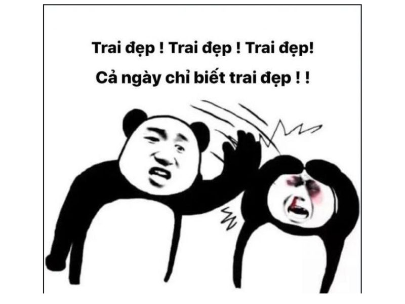 Ảnh meme đánh nhau, meme mèo đánh nhau troll bạn bè