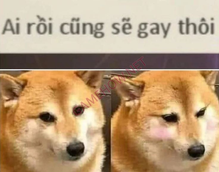 Tổng hợp Meme