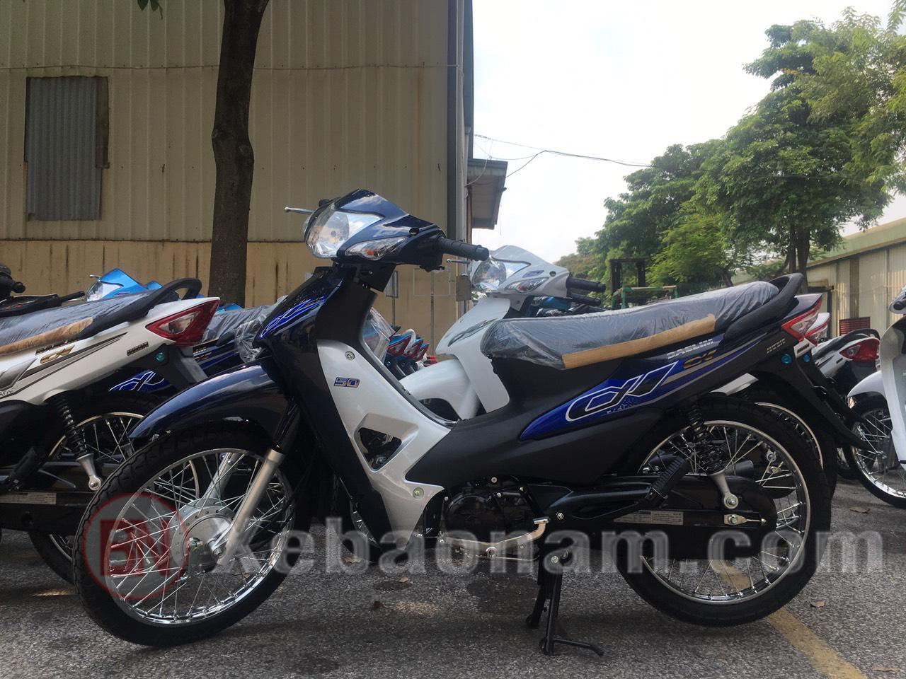 Xe máy 50cc Wave Alpha