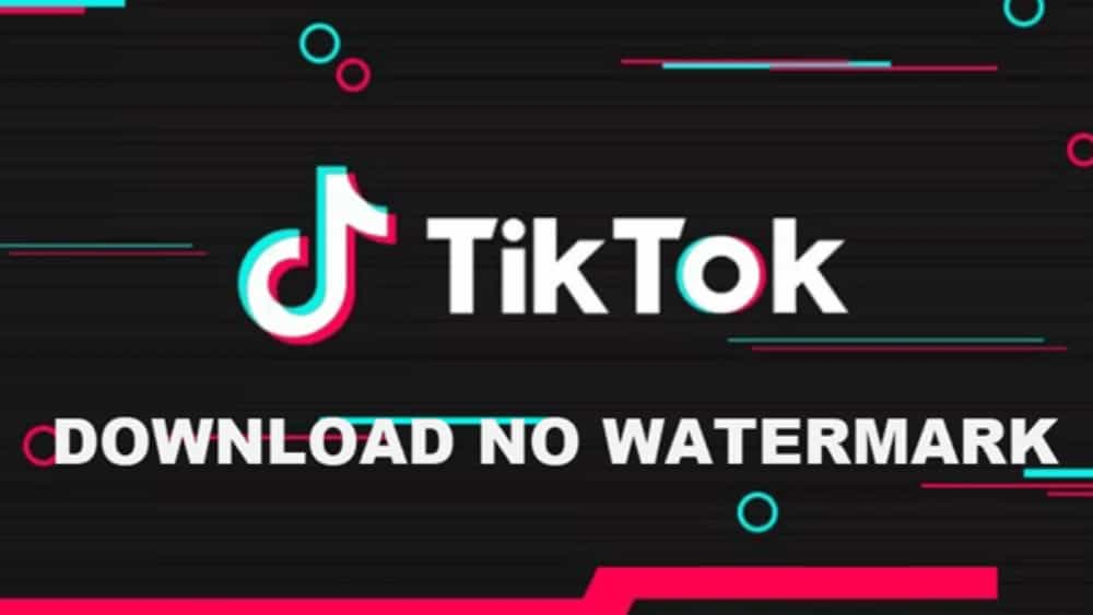 Snaptik App - Tải Video Tiktok Không Logo