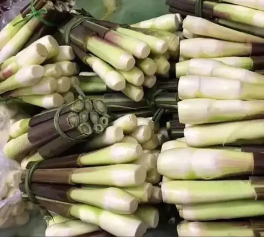 Củ Niễng Đặc Sản Nam Định: Khám Phá Hương Vị Độc Đáo, Chế Biến Món Ngon Gây Thương Nhớ